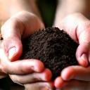 栄養豊富なオーガニック用土をすくう手
