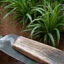 木製の柄を持つスタイリッシュな園芸用こて